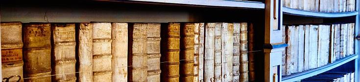 bookshelf (1).jpg